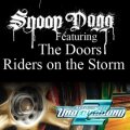 Riders on the Storm cover