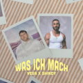 Was ich mach cover
