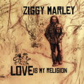 Love Is My Religion cover