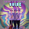 Shine cover