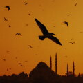 Uçurum cover
