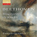 String Quartet in A major, Op. 18 No. 5: III. Andante cantabile cover