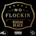 No Flockin cover