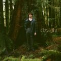 Daylight cover