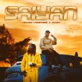 Saiyan cover