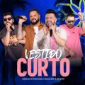 Vestido Curto (Ao Vivo) cover