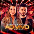 Borogodó (Ao Vivo) cover