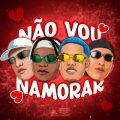 Não Vou Namorar cover