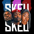 SKEU SKEU cover