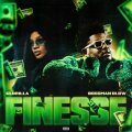 Finesse cover
