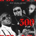 300 no 7 cover