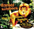 The Lion Sleeps Tonight cover