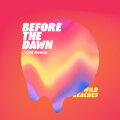 Before the Dawn cover