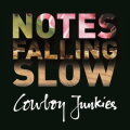 Notes Falling Slow cover