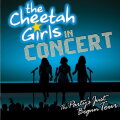 Amigas Cheetahs cover