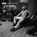 Recovery cover