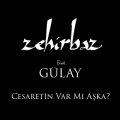 Cesaretin Var Mi Aska (ft. Gülay) cover