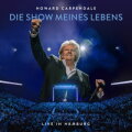 Ein paar sind immer über den Wolken cover