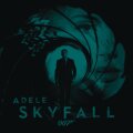 Skyfall cover