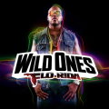 Wild Ones cover