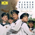 An der schönen blauen Donau (Walzer, Op. 314) cover