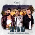 Sozinha (Ao Vivo) cover
