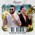 Oi Vida (Ao Vivo) cover