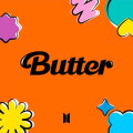 Butter cover