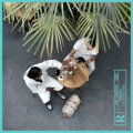 CONNECTED cover