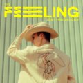 The Feeling cover