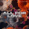 All For Love cover