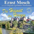 Auf der Vogelwiese cover