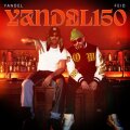 Yandel 150 cover