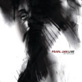 Animal - Pearl Jam Live on 10 Legs cover
