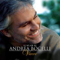 La voz del silencio cover