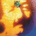 The Mango Song cover