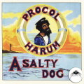 A Salty Dog cover