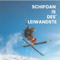 Schifoan cover