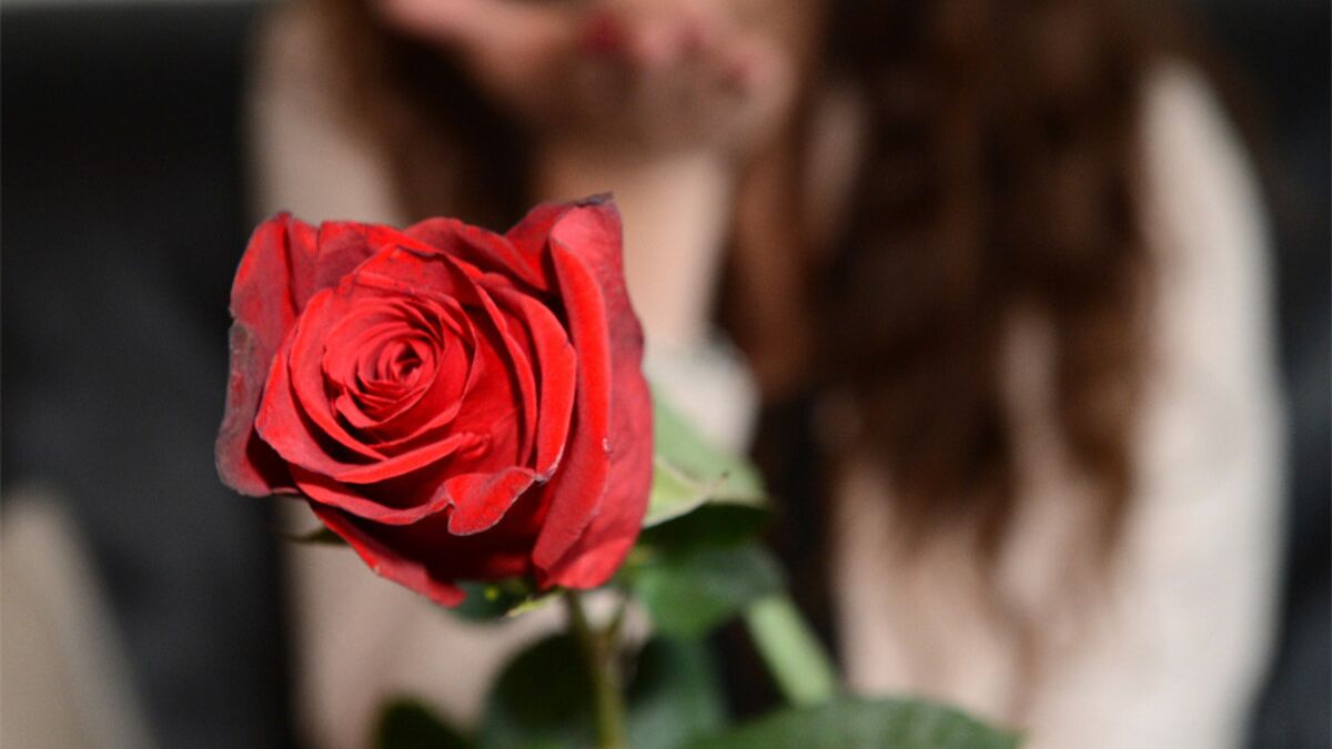 Erste Nacht der Rosen: ‚Bachelorette‘ Sharon Battiste begründet Entscheidung